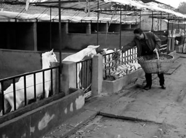 经济日报多媒体数字报刊