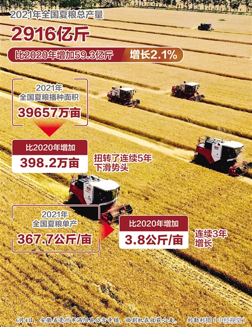 总产量2916亿斤 比去年增长2.1%——夏粮喜获丰收