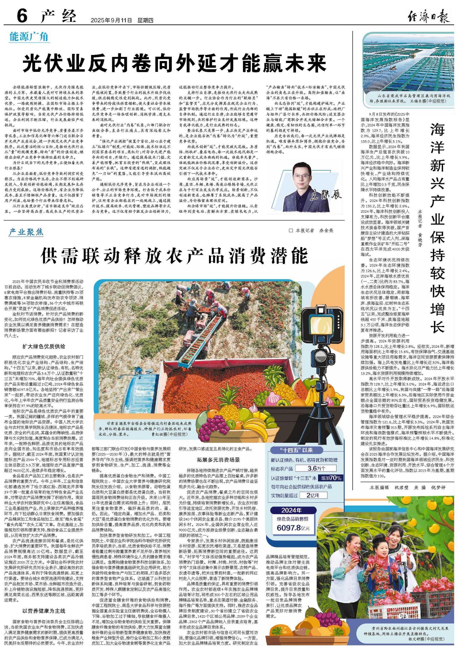 光伏业反内卷向外延才能赢未来