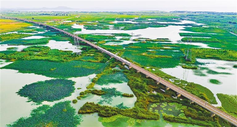 最高人民法院与全国妇联、司法部联合发布婚姻家庭纠纷调解工作典型案例